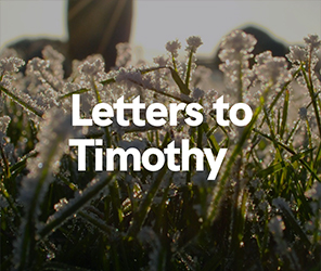 Letters To Timothy